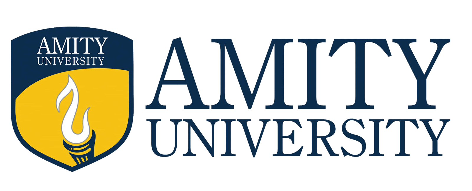 Amity University Online MBA